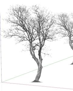Esboço 3D da árvore skp